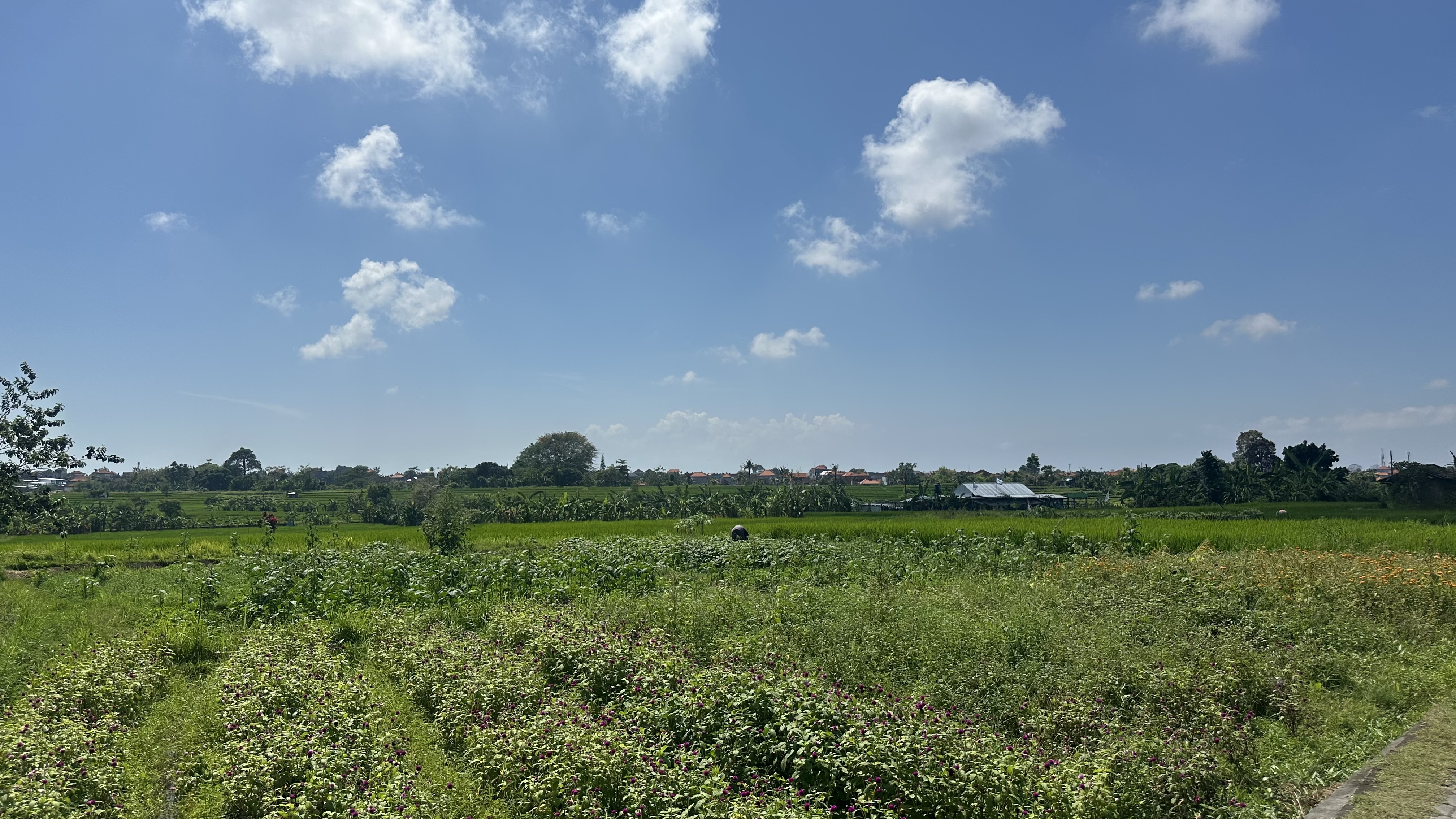 Dokumentasi Subak Bali