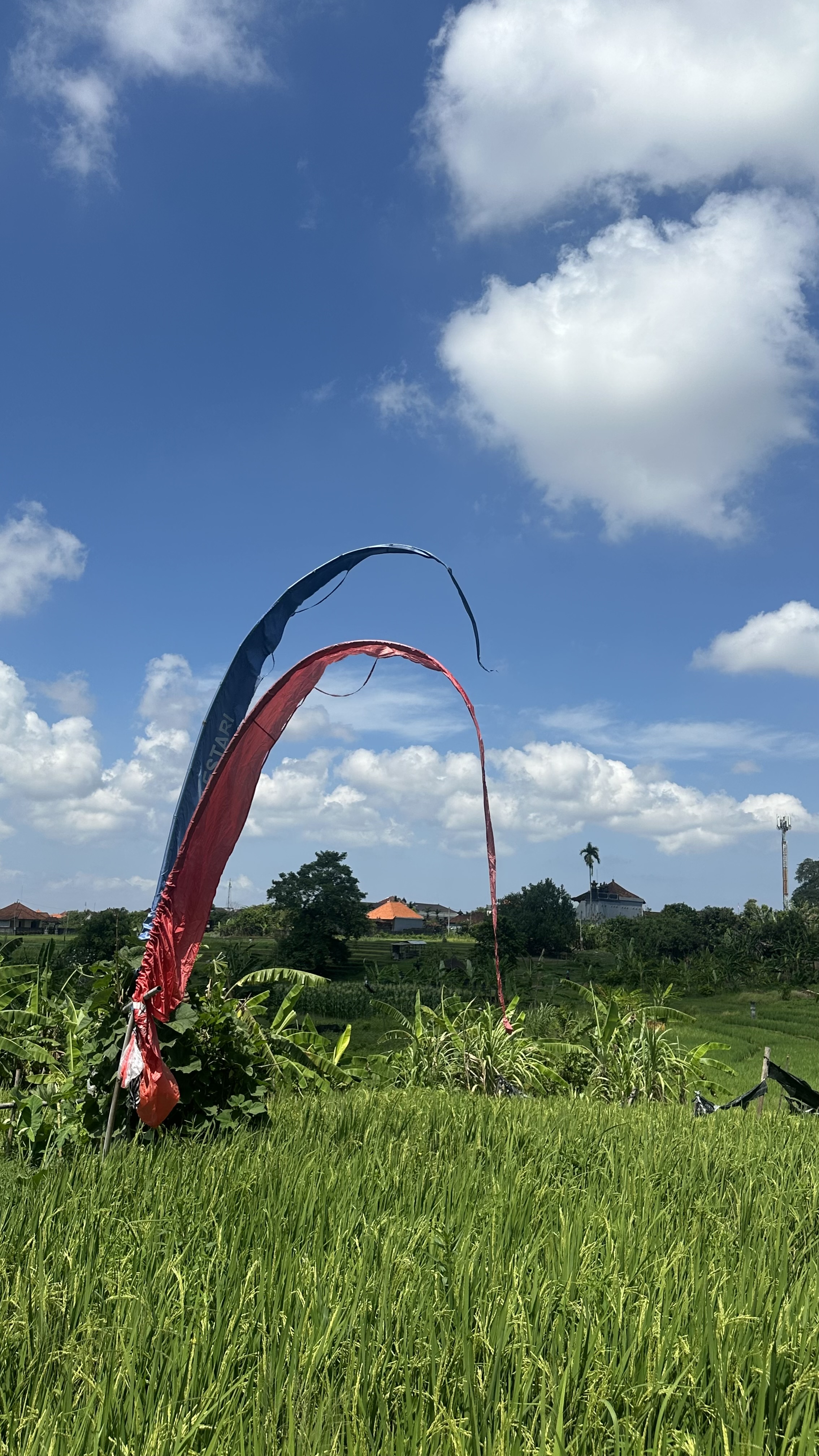 Komunitas Subak
